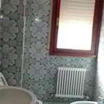 Rent a room in bologna