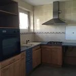 Rent 3 bedroom apartment of 68 m² in Toulouse