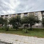 Rent 2 bedroom apartment of 36 m² in Chełm