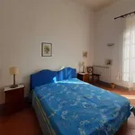 Rent 3 bedroom apartment of 65 m² in Florence