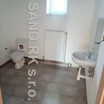 Pronájem bytu 1+kk 40m²