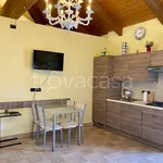 Rent 1 bedroom apartment of 45 m² in Vinovo