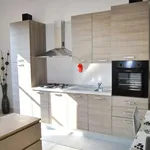 Rent 1 bedroom apartment of 45 m² in milan