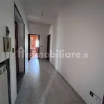 Rent 4 bedroom apartment of 120 m² in Benevento