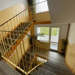 Rent 1 bedroom apartment in Karlovy Vary