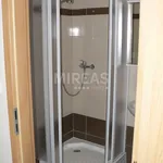 Rent 1 bedroom apartment of 44 m² in Milovice