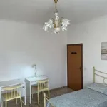 Appartamento arredato con terrazzo Centro