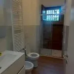 Rent 3 bedroom apartment of 102 m² in Milan