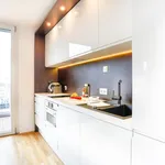 Rent 1 bedroom apartment of 40 m² in Vienna