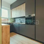 Rent 3 bedroom apartment of 110 m² in Torino