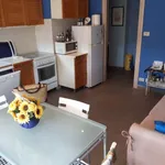 Rent 1 bedroom apartment of 50 m² in turin