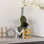 Rent 1 bedroom apartment in vicenza