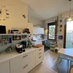 Rent 5 bedroom apartment of 150 m² in Casale Monferrato