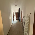 Rent 4 bedroom apartment of 110 m² in Novara