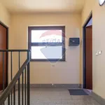 Rent 3 bedroom apartment of 105 m² in Zafferana Etnea