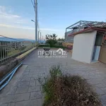 Rent 1 bedroom apartment of 36 m² in Nea Makri Municipal Unit