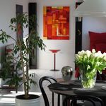 Rent 1 bedroom apartment of 55 m² in Kerpen