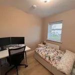 Rent a room in dublin