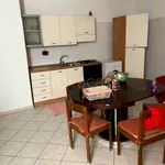 Rent 4 bedroom apartment of 95 m² in Benevento