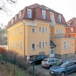 Rent 1 bedroom apartment of 47 m² in Dresden