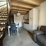 Rent 2 bedroom apartment of 50 m² in Lonigo