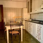 Rent 2 bedroom apartment of 55 m² in Roma