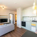 Rent 1 bedroom apartment of 34 m² in berlin