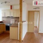 Rent 3 bedroom apartment of 115 m² in Prague