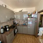 Rent 1 bedroom apartment of 37 m² in Brno