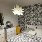 Rent 2 bedroom apartment in Péruwelz