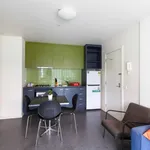 Rent 1 bedroom student apartment in Malvern East