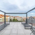 Rent 4 bedroom apartment of 140 m² in Capital City of Prague