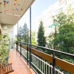 Rent a room of 64 m² in madrid