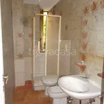 Rent 1 bedroom apartment of 50 m² in Roma