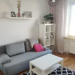 Rent 2 bedroom apartment of 50 m² in Wrocław