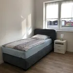 Miete 4 Schlafzimmer wohnung von 65 m² in Papenburg