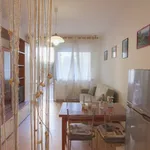 Rent 3 bedroom apartment of 60 m² in Follonica