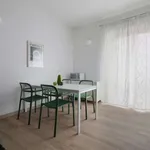 Rent 1 bedroom apartment in milan