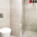 Rent 1 bedroom apartment of 27 m² in Brno