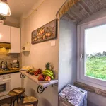 Rent 5 bedroom apartment in Cortona