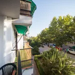 Alquilar 4 dormitorio apartamento en Granada