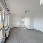 Rent 1 bedroom apartment in Praha 4