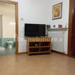 Rent 1 bedroom apartment of 45 m² in Bologna