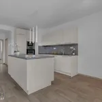 Rent 3 bedroom apartment of 90 m² in Staré Město