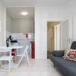 Rent 1 bedroom apartment of 40 m² in Porto