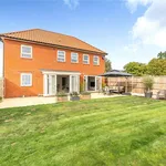 Rent 5 bedroom house in Bury St Edmunds