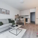 Rent 1 bedroom apartment of 34 m² in Prague