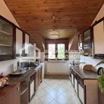 Rent 2 bedroom apartment of 55 m² in Gdynia