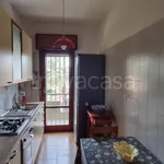 Rent 3 bedroom apartment of 80 m² in Roma