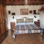 Rent 2 bedroom apartment of 65 m² in borgo san lorenzo